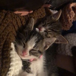 Meet your Posher, Haylee